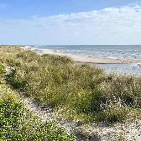 Cozy In With Sauna Hals